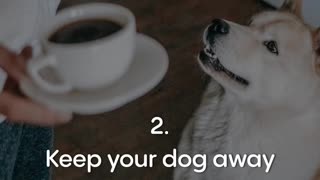 5 Tips for Dogs Health