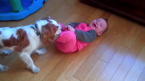 Cute baby and Dog playing together.