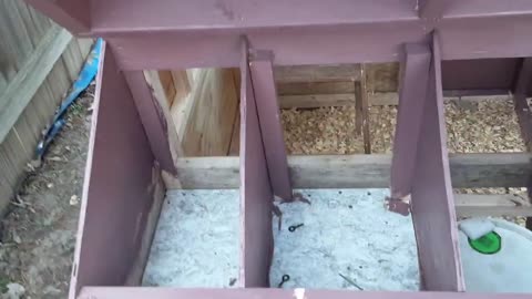 Urban Homestead Chicken Coop