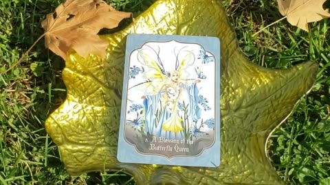 Faery Blessing Card # 3 A Blessing Of The Butterfly Queen - Oracle Card With Amy Brown Fairy Art