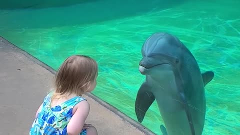 Dolphins and baby girl makes friendship