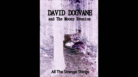 All The Strange Things