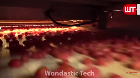 How Tomato Ketchup Is made in Factory | Wondastic Tech