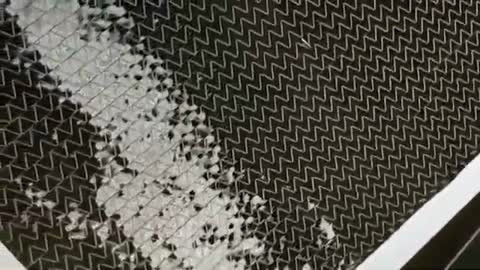 Biaxial Carbon Fiber Cloth 300gsm