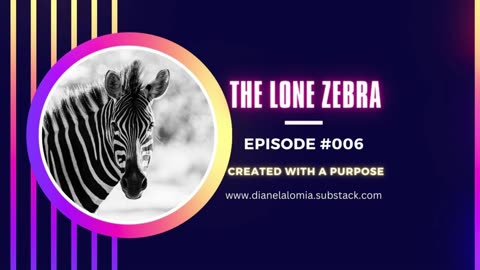 The Lone Zebra | Episode 006 | Created with a Purpose