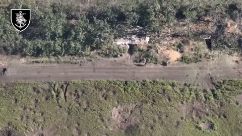 Incredible Footage of Ukrainians Clearing Russian Bunkers