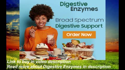 No more constipation when going to toilet, Let Digestive Enzymes make a healthy digestion!