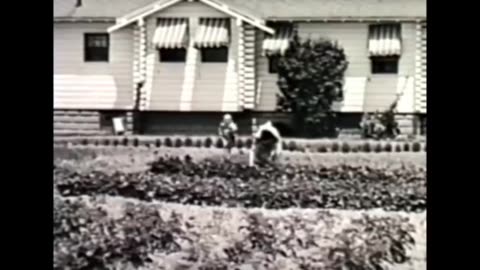 Blast from the past - Victory Garden.