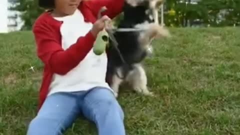 Teach your dog how to bounce