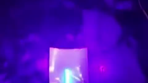 Nasal Swab Black Light Test