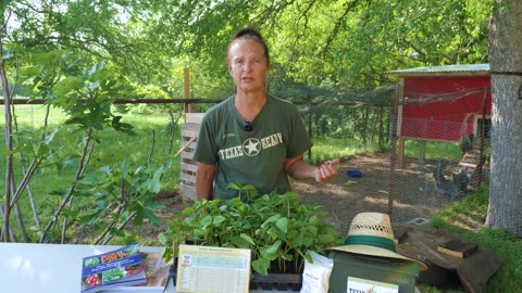 The Mittleider Gardening Method with Lucinda Bailey - Promo