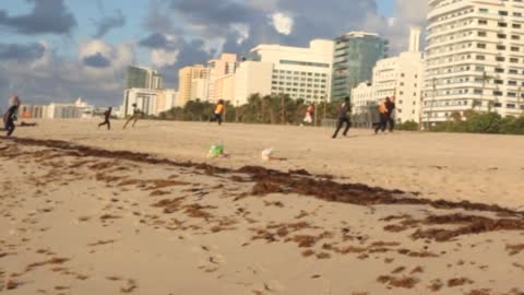 Illegal immigrants interrupt video shoot on Miami Beach