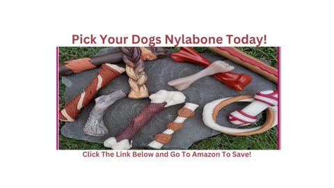 Nylabone Power Chew Rawhide Roll Alternative Chew| Sold on Amazon