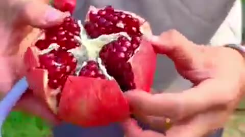 How to peel a Pomegranate #farming