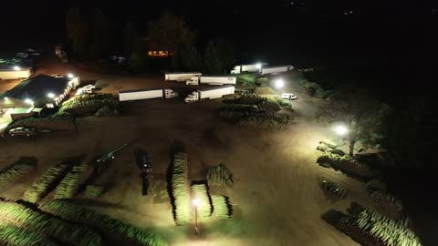 Loading Christmas Trees at night in Oregon