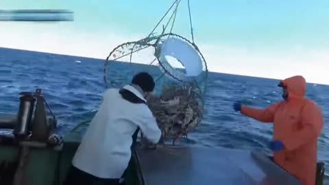 how to catch alaska crab