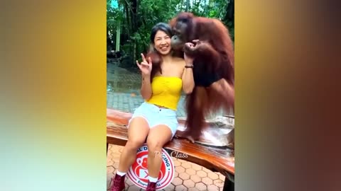 Belly-Laugh Bonanza: The Ultimate Animal Funny Videos Compilation 🤣😂