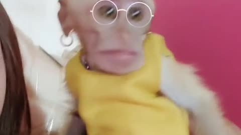 I laughed myself when I saw this monkey