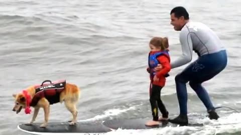 Meet the dog catching California waves CBS News