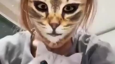 The way these cats react