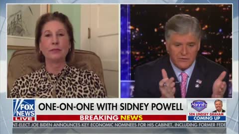 Sidney Powell: 'A Witness Was Beaten Up And Is In The Hospital'