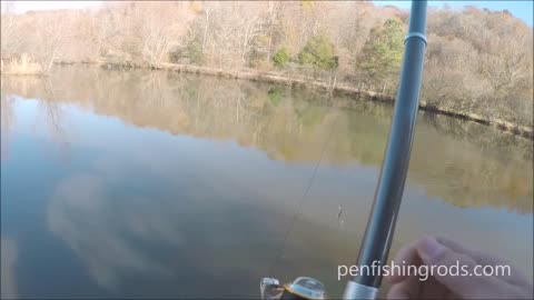 Bass Fishing with the Pen Rod Backpacker by penfishingrods.com