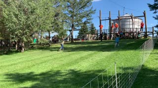 Fun on the farm - Zipline