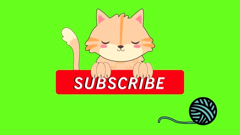 Cats funny videos and training