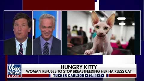 Fox News reports that a woman on a Delta flight was caught breastfeeding a cat