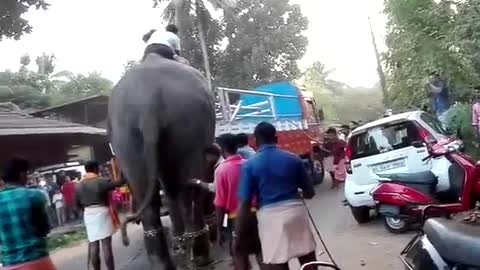 Thrithala vk kadavu nercha. Elephant attached