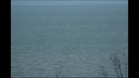 Berryhead English channel - Ships and boats that go by UK 13-11-2023