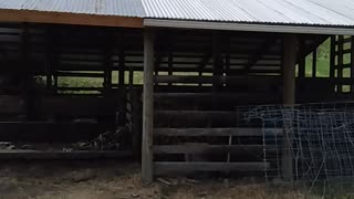 Barn addition completed