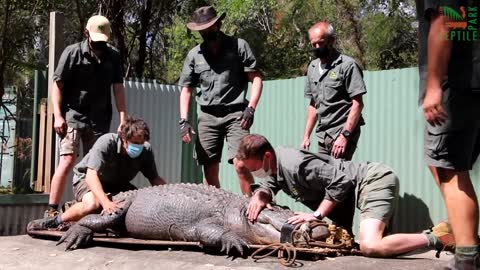 Aussie Zoo Puts Aggressive Alligator Kanye In The Naughty Corner For A Month