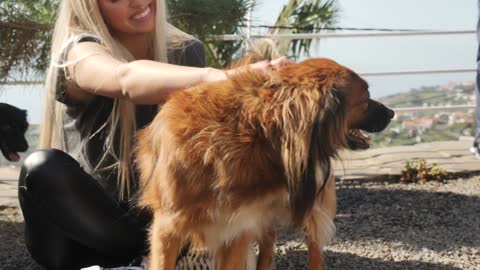 Beautiful girl, and happy dog!!!🐶