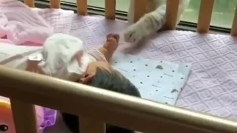 cute cat with baby I animal videos