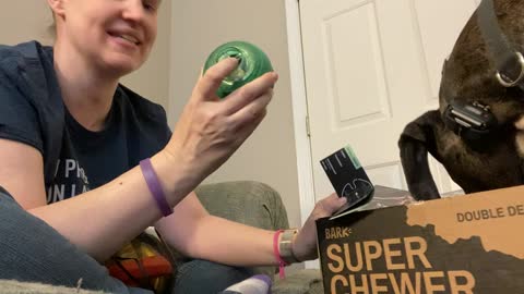 Service Dog: Bark Box SUPER CHEWER Honest Review (NOT sponsored at all)