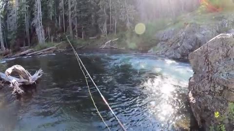 REMOTE Mountain TROUT FISHING!!! 4-Day Catch, Cook, Camp