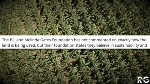 @reallygraceful: Why is BILL GATES Buying ALL the Farmland?