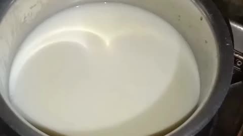 how to make Yougurt | Thick yougurt recipe | dairy products