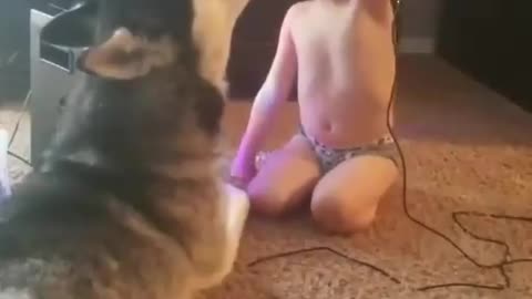dog singing a lot into the microphone
