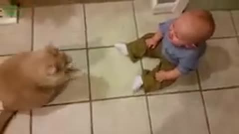 Funny baby playing with cat