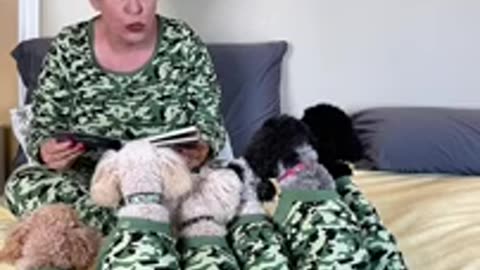 Dog Mom Goes Viral for Reading her Dogs a Bedtime Story in Matching