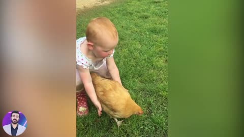 Funny Baby Reaction When Play with Chicken | Funny Videos | Heritage of Mind