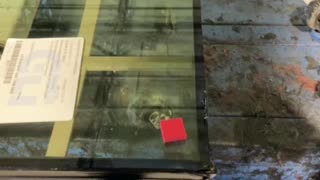 Sealing insulated window.