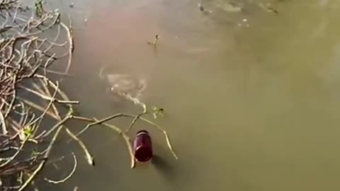 Fishing techniques