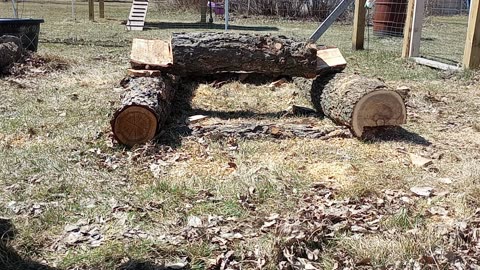 Log Cabin Garden Box