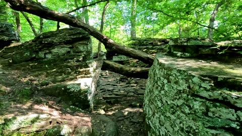 Exploring Devil's Den State Park and Uncovering its History | Arkansas