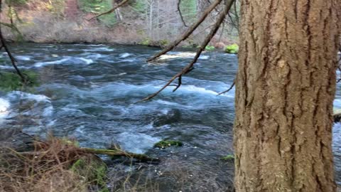 A White Water Rapid Section of Metolius River – Central Oregon