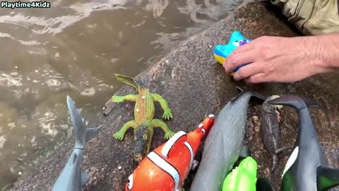 #seaanimals Sea Animal Toys This Summer at the Shore