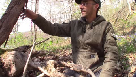 Collecting Water From Vines! Wilderness Survival Water Collection